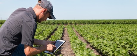 Improving agricultural efficiency with the IIoT Improving agricultural efficiency with the IIoT