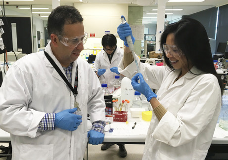 RMIT research points to treatment breakthrough for viruses