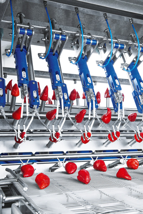 Well filled Well filled