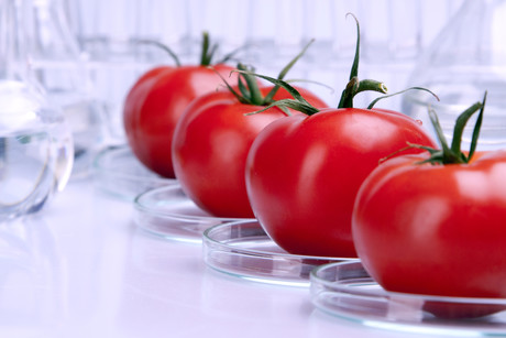 Edible packaging and algae-based protein could be our food future