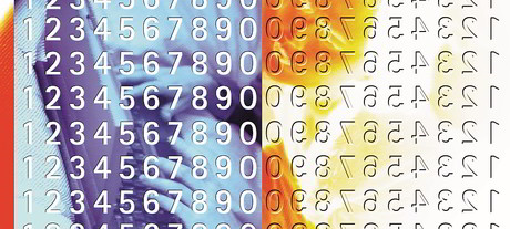 Vic govt learns from Estonia on DX