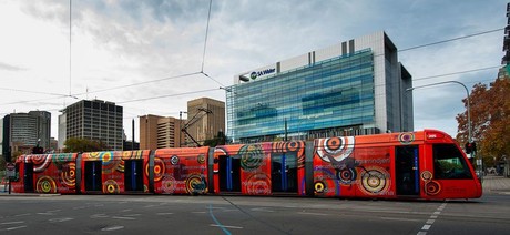 SA calls for free public transport Wi-Fi