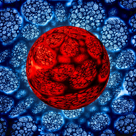 Nanocapsules could create artificial organs, treat incurable diseases