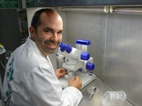 Understanding plant-microbe interactions