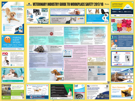 Preventing Hazards in the Veterinary Industry