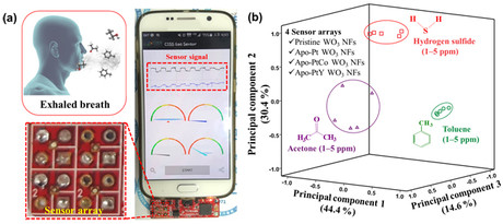Breathalyser app diagnoses disease Breathalyser app diagnoses disease