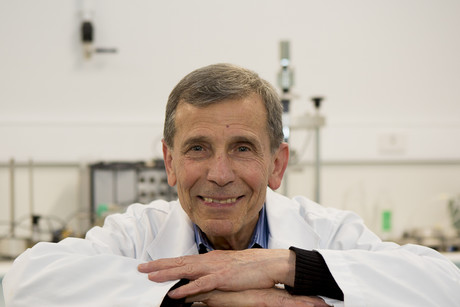 Asphalt mixed with cigarette butts