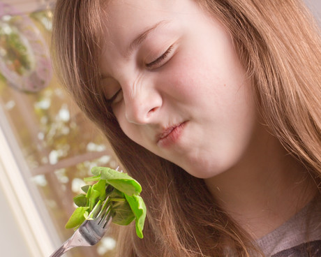 How eating our greens led to the rise of antibiotic resistance How eating our greens led to the rise of antibiotic resistance