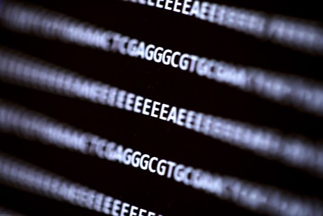 DNA sequencing programs vulnerable to cyber attack