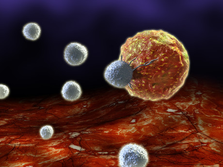 Inadequate T-cell development linked to autoimmune diseases Inadequate T-cell development linked to autoimmune diseases