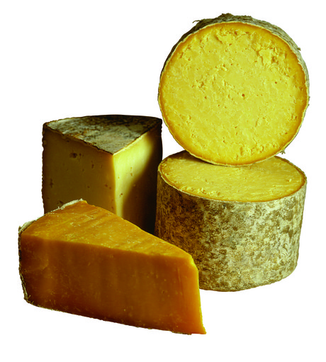 Industrial cheesemaking secrets revealed Industrial cheesemaking secrets revealed