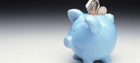 NZ simplifying licence fees