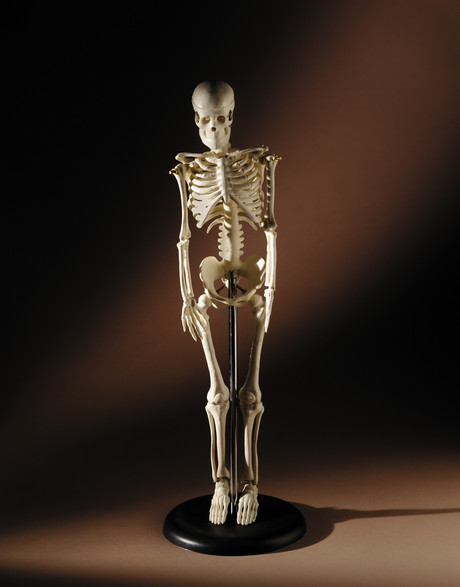 Over 150 new gene variants identified in osteoporosis study