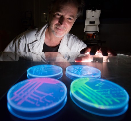 How humans are spreading bacteria around the planet