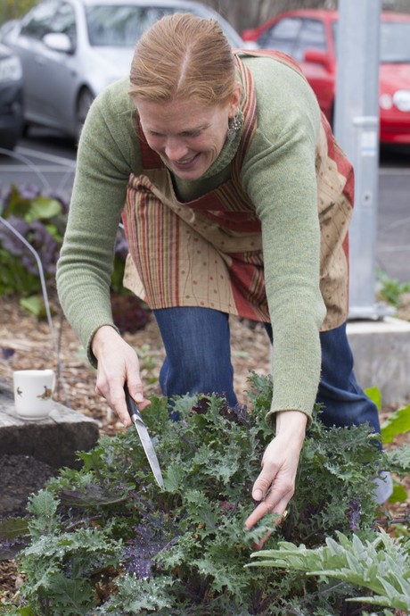 Finalists announced for 2017 Victorian Premier&#39;s Sustainability Awards, ResourceSmart Schools Awards
