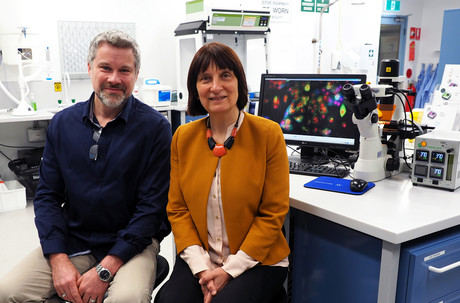 Automated image analysis to aid bladder cancer diagnosis