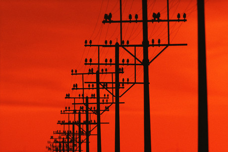 Utilities fear power grid disruption from cyber attacks Utilities fear power grid disruption from cyber attacks