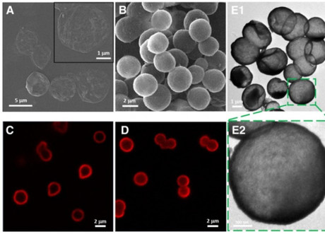 Microcapsules enhance the efficiency of genome editing Microcapsules enhance the efficiency of genome editing