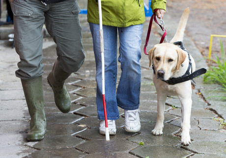 Vision impaired guided by beacon and GPS technology Vision impaired guided by beacon and GPS technology