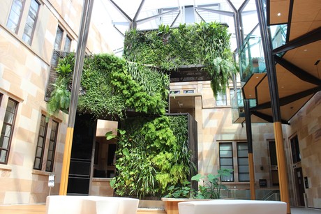 Universities installing greenwalls to improve wellbeing of students
