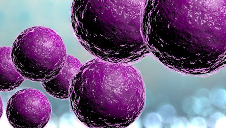 Antibiotic-resistant staph infections occurring more in Australian communities, not hospitals