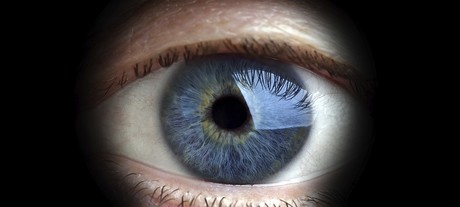 Govt agencies will soon need privacy officers