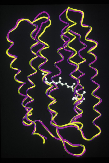 The future is frozen