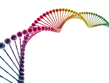 Scientists Discover Possible Genetic >> Scientists Find Possible Genetic Links To Male Sexual Orientation Scientists Discover Possible Genetic >> Scientists Find Possible Genetic Links To Male Sexual Orientation