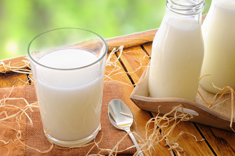 PhD candidate finds potential alternative to milk pasteurisation