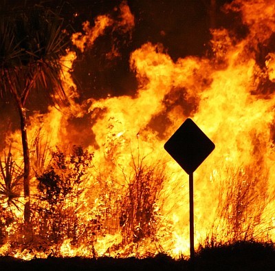 SA Government dumps alert app