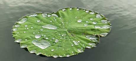 WA launches one-stop environmental assessments