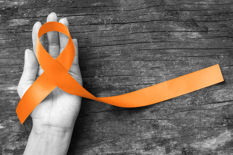 New drug could halt MS in its tracks New drug could halt MS in its tracks
