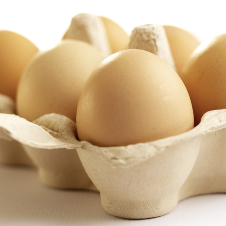 Australian scientist awarded Ig Nobel prize for unboiling an egg