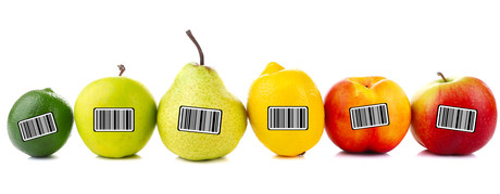 Where and how are the different labelling options used?