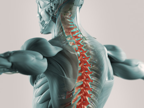 Flexible lithium-ion battery shaped like the human spine Flexible lithium-ion battery shaped like the human spine