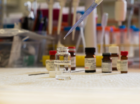 Drug shown to reverse alcohol-related brain damage