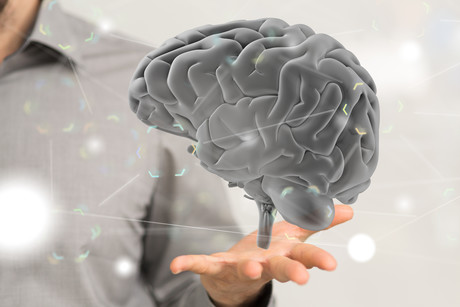 Fluid intelligence supported by MD brain regions Fluid intelligence supported by MD brain regions