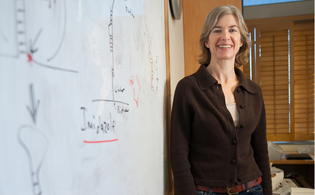 CRISPR-based DNA detective