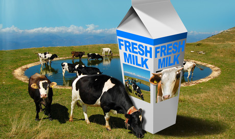 Quality monitoring in milk processing — Part 2 Quality monitoring in milk processing — Part 2