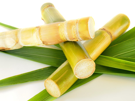 Collaboration sweetens the path to low-GI sugar production Collaboration sweetens the path to low-GI sugar production