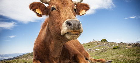 Spark's IoT network covers 60% of NZ Spark's IoT network covers 60% of NZ