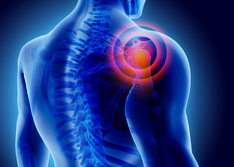 Musculoskeletal injuries targeted by safety inspectors