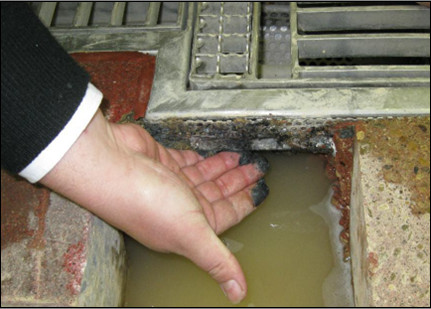 Food hygiene starts on the plant floor