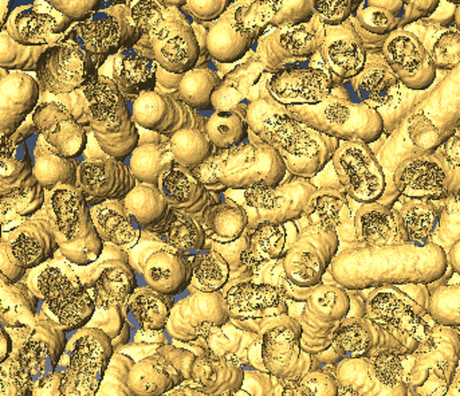 Artificial enzymes use light to kill bacteria