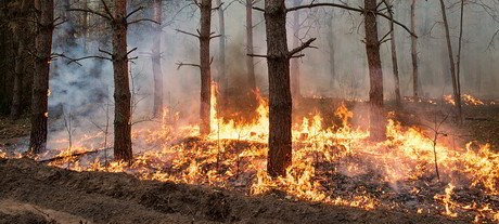 Emergency communications conference