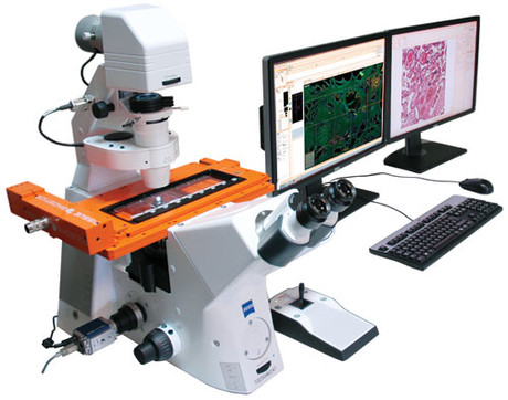 Scitech appointed authorised distributor for TissueGnostics