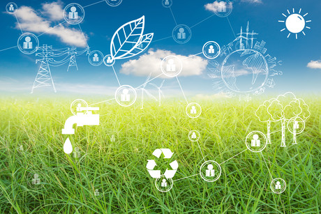 The rise of renewable cities