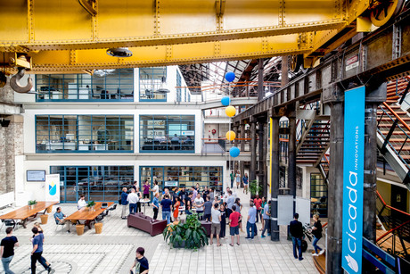 Cicada Innovations named top global incubator Cicada Innovations named top global incubator