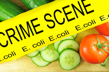 Kill food pathogens in the gut without antibiotics