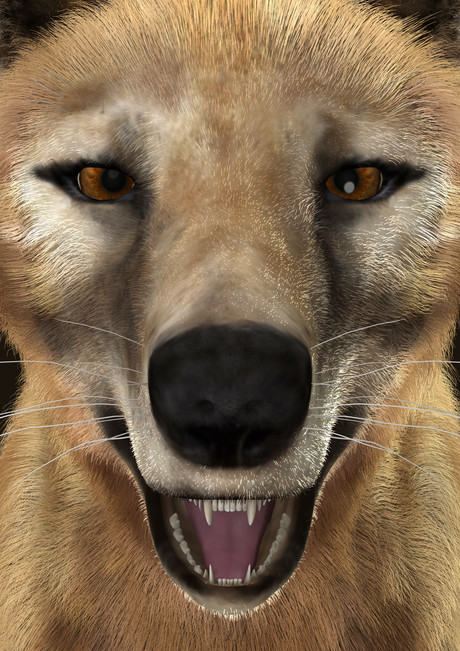 SA Water scientists use DNA in Tassie tiger search